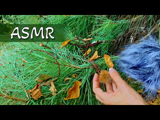 asmr tapping and scratching in nature no talking