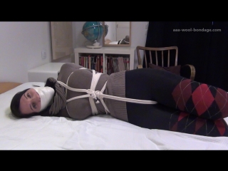 argyle hogtied